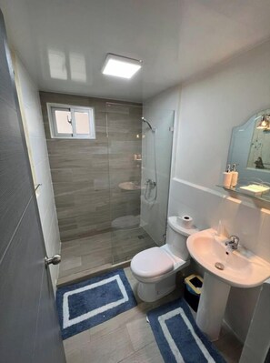 Shower, towels, soap, toilet paper