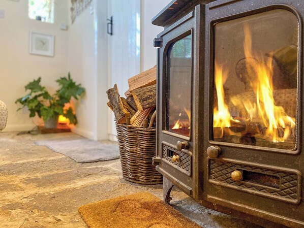 A wood-burning stove with logs in a basket, a potted plant, and a rug on the floor.