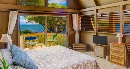 Big Island Hale Puako-Oceanfront in Puako! Summer Rates, Great Family Home!
