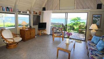 Älytelevisio, DVD-soitin, kirjoja