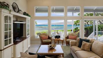 Älytelevisio, DVD-soitin