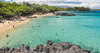 Whale's Tail - Fall rates! Beachfront in Magical Puako! Steps to the ocean!