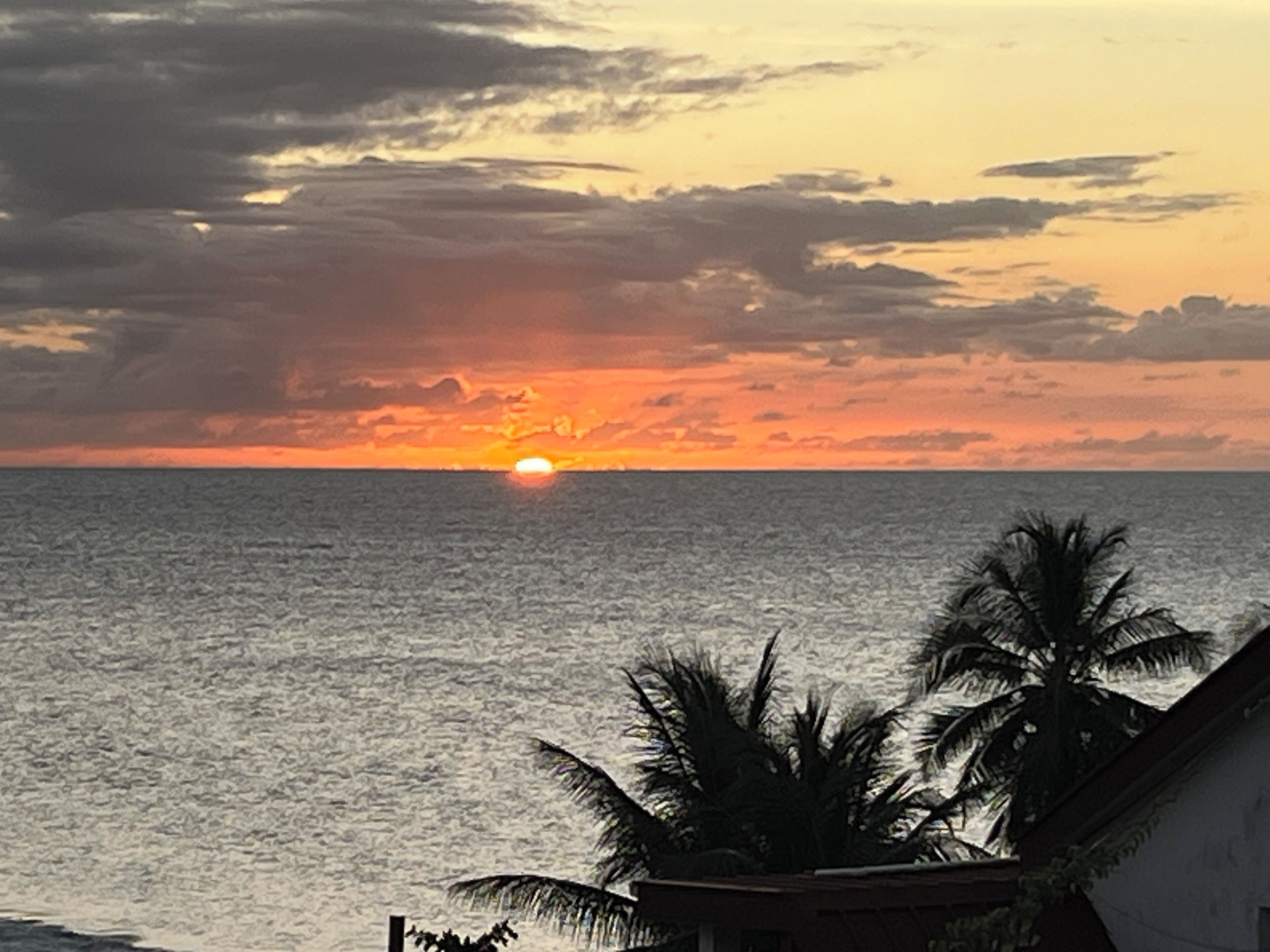 Un coucher de soleil sur l’océan, avec des palmiers au premier plan.