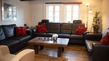 Smart TV, fireplace, books