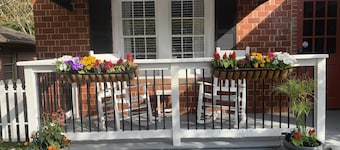 Cozy Cottage on Canton Street just steps away from nightlife, shopping and parks