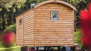Una cabaña de madera con techo inclinado, una ventana pequeña y una puerta. Está sobre un remolque con ruedas, rodeada de follaje y árboles.