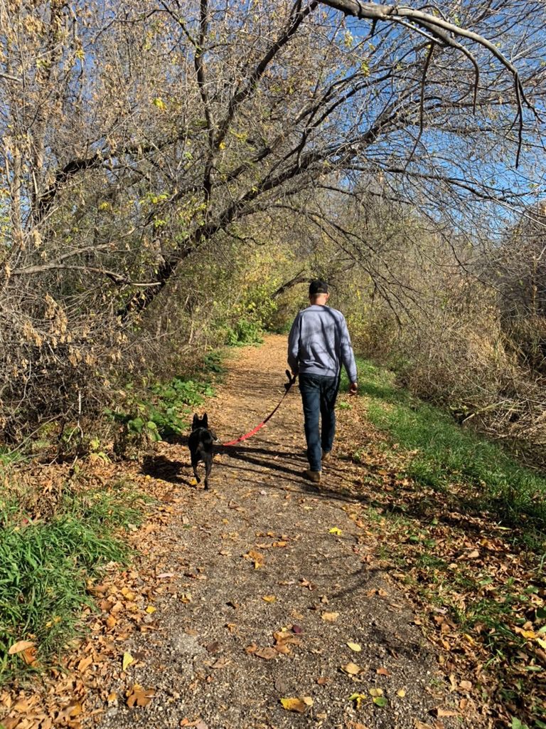 A person walking a dog on a dirt path surrounded by trees.