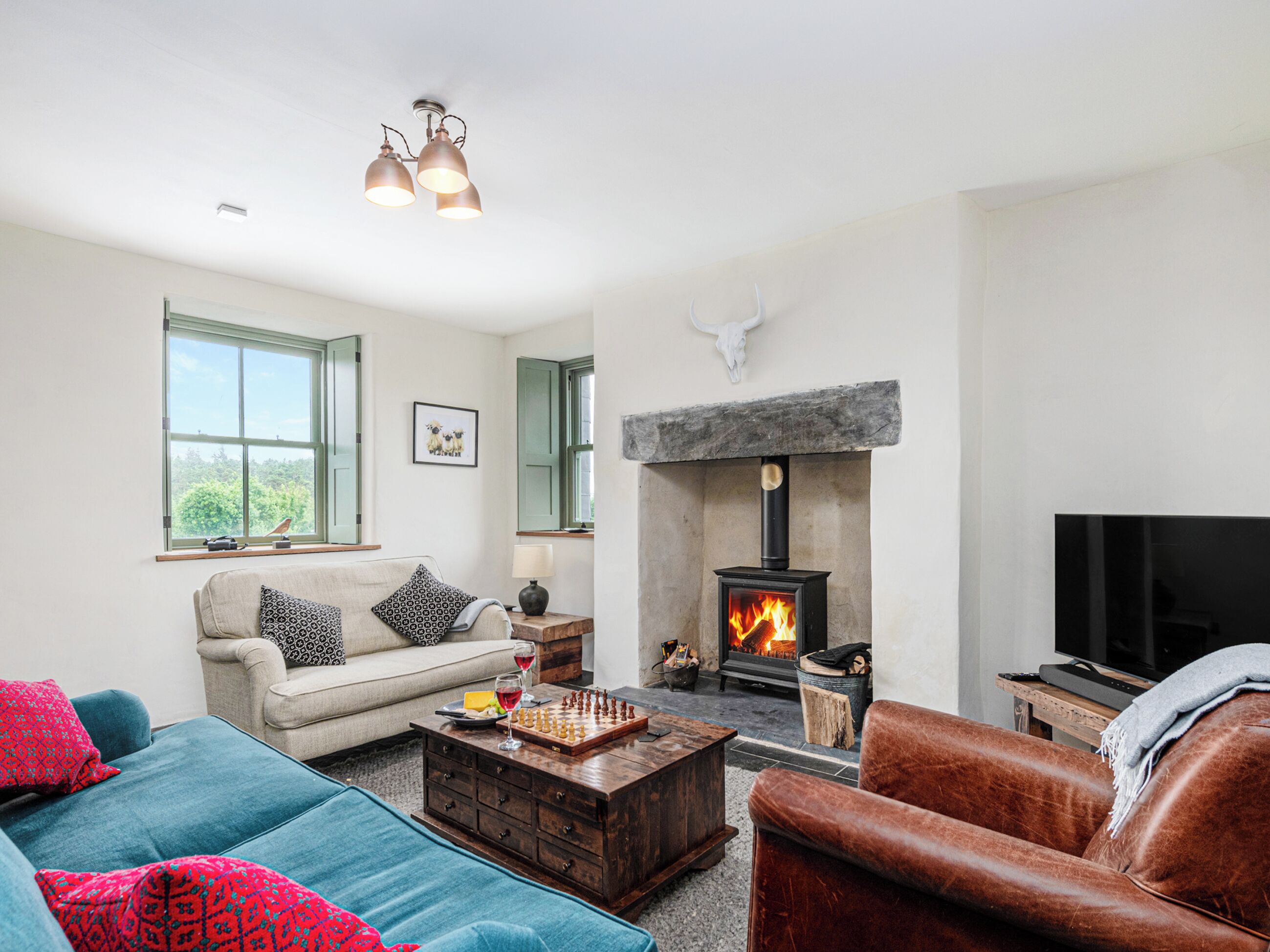 TV, fireplace