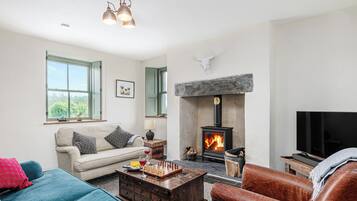 TV, fireplace