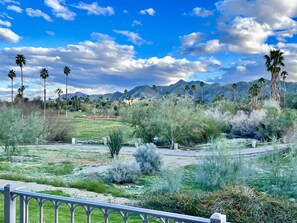 Property grounds - Casa Parocela - Lovely Condo in the Heart of Palm Springs - Permit #9475 (Palm Springs)