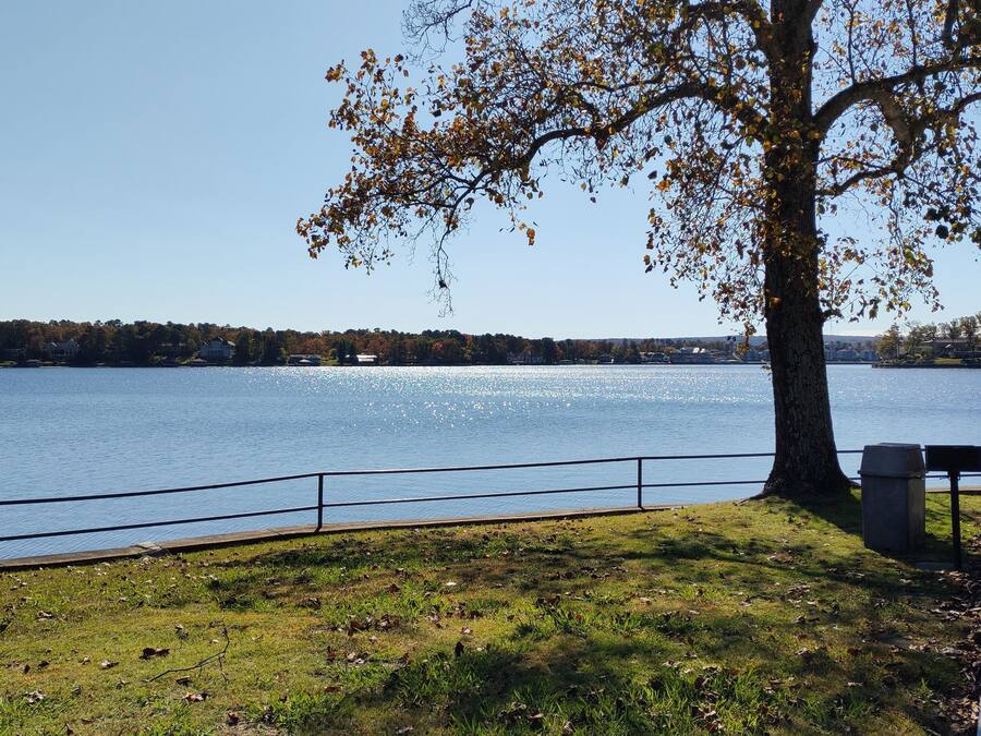 Parque junto al lago con una mesa de picnic y un banco, rodeado por una barandilla de metal y un área verde con hojas dispersas.