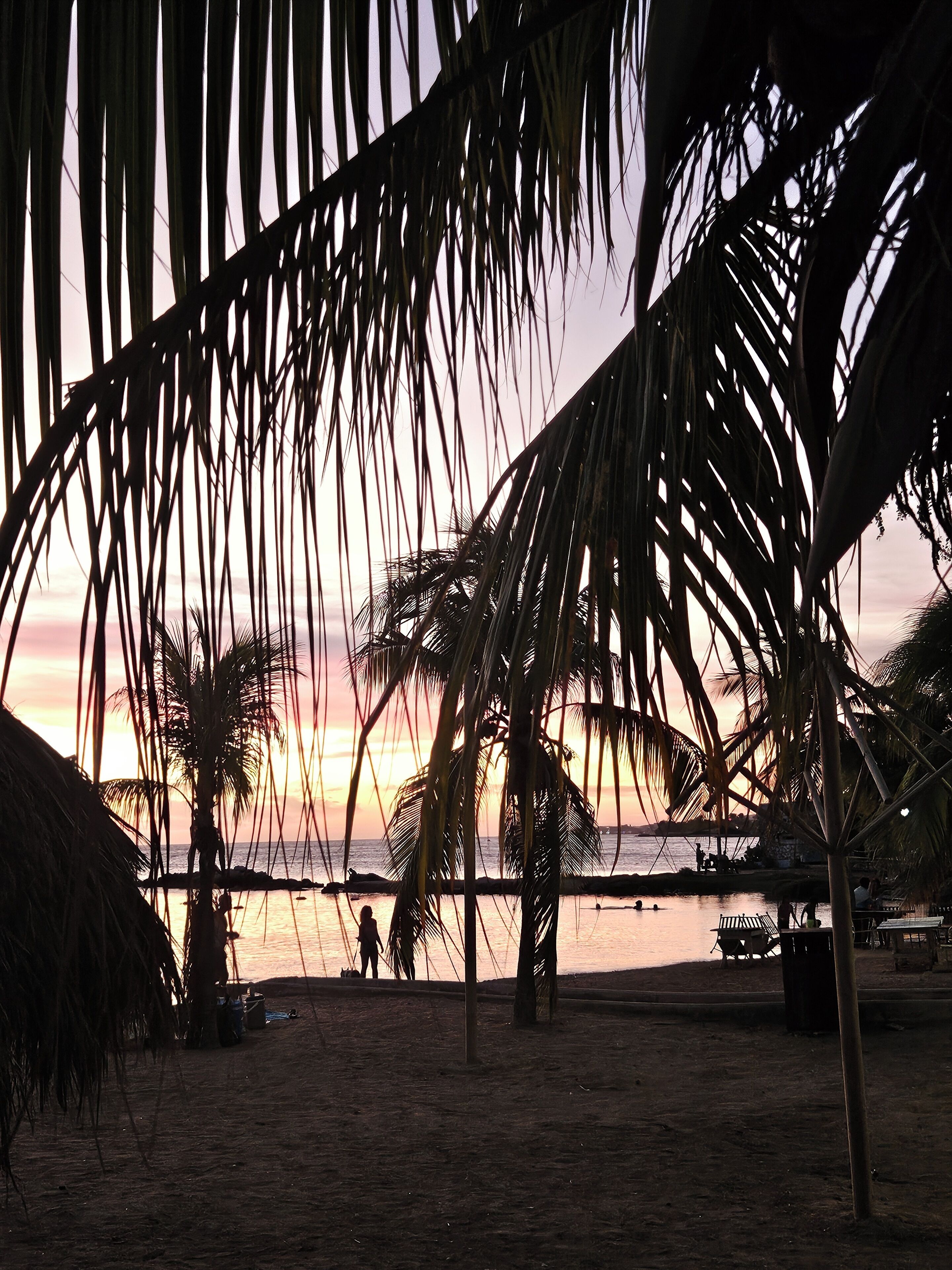 Escena de playa con palmeras, un atardecer y un mar tranquilo.