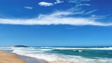 A beach with waves, a clear sky, and a distant island.