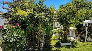 Um jardim com diversas plantas e uma estrutura branca.
