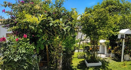 Casa Família: Praia, Campeche e Conforto