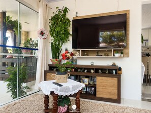 TV