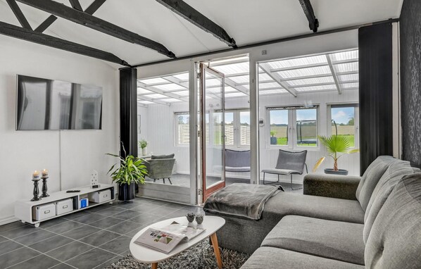 Smart-TV, Kamin