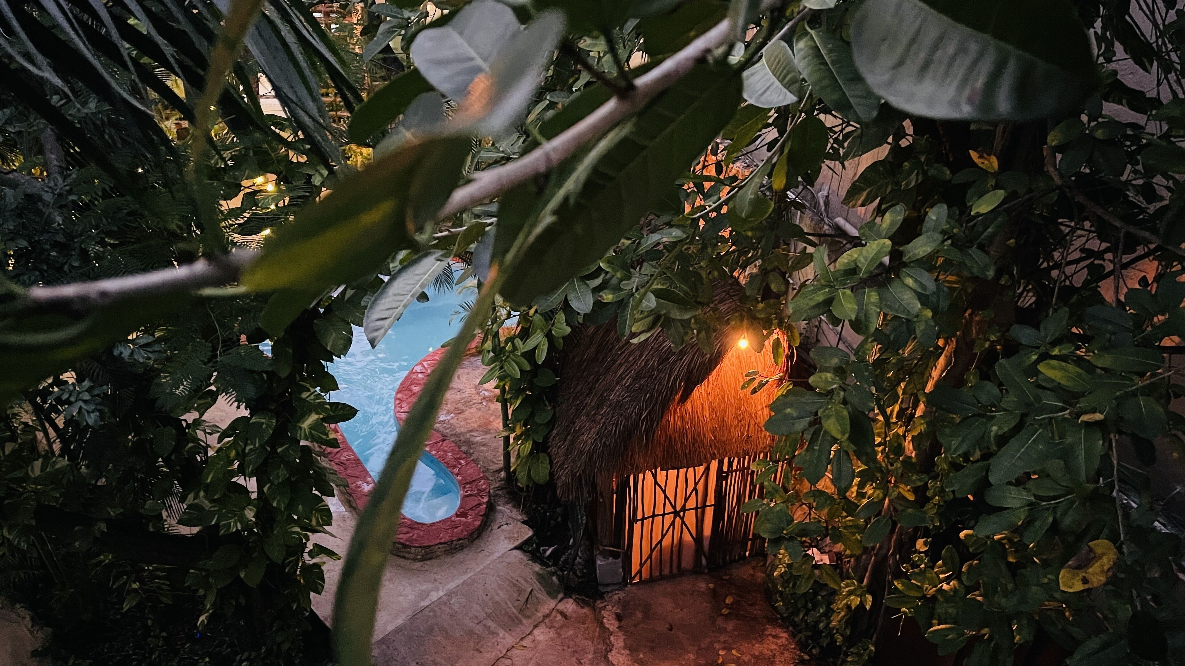 A pathway leading to a thatched-roof structure with a pool and surrounding greenery.