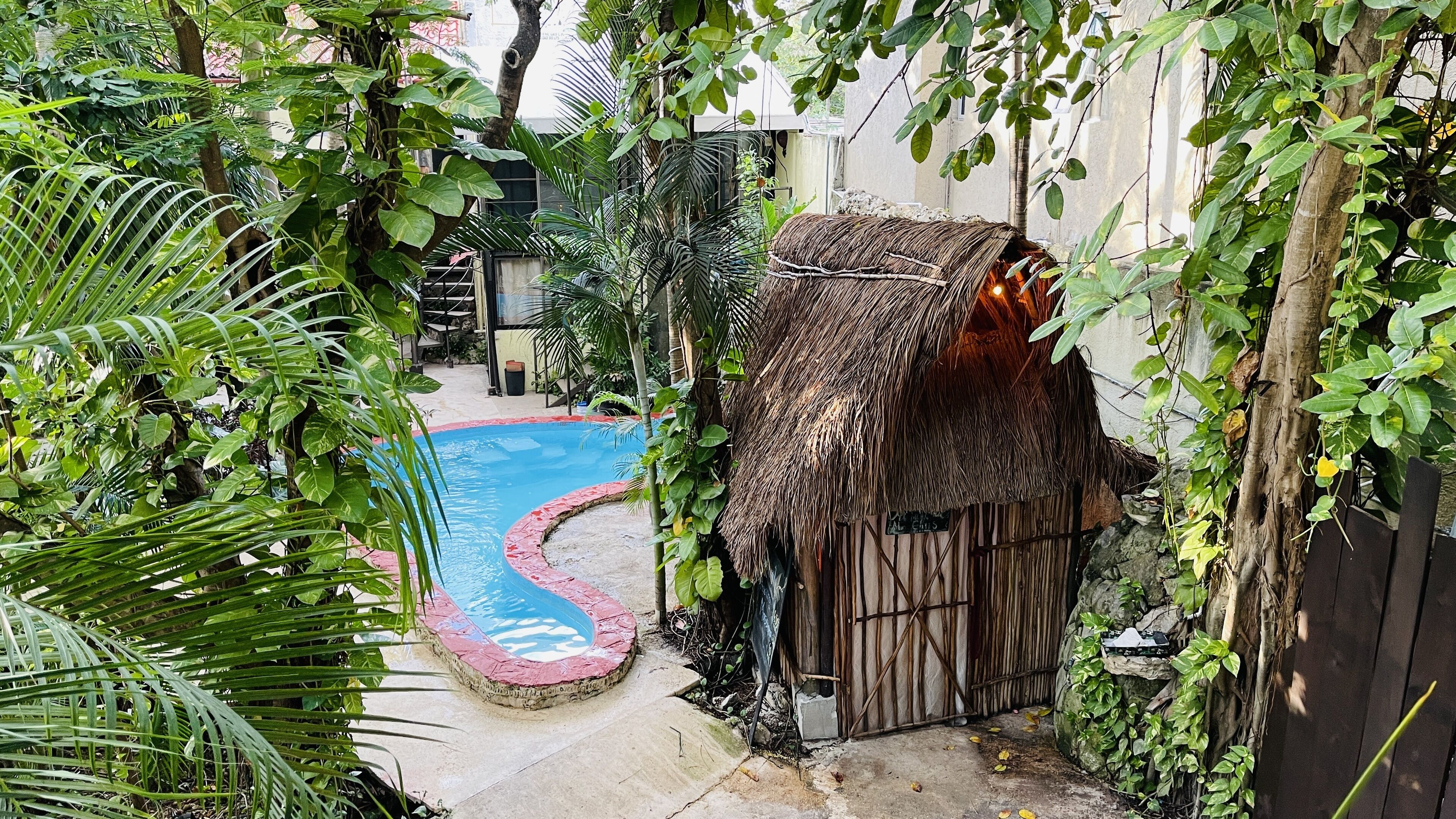 A pool surrounded by lush greenery and a thatched-roof structure.