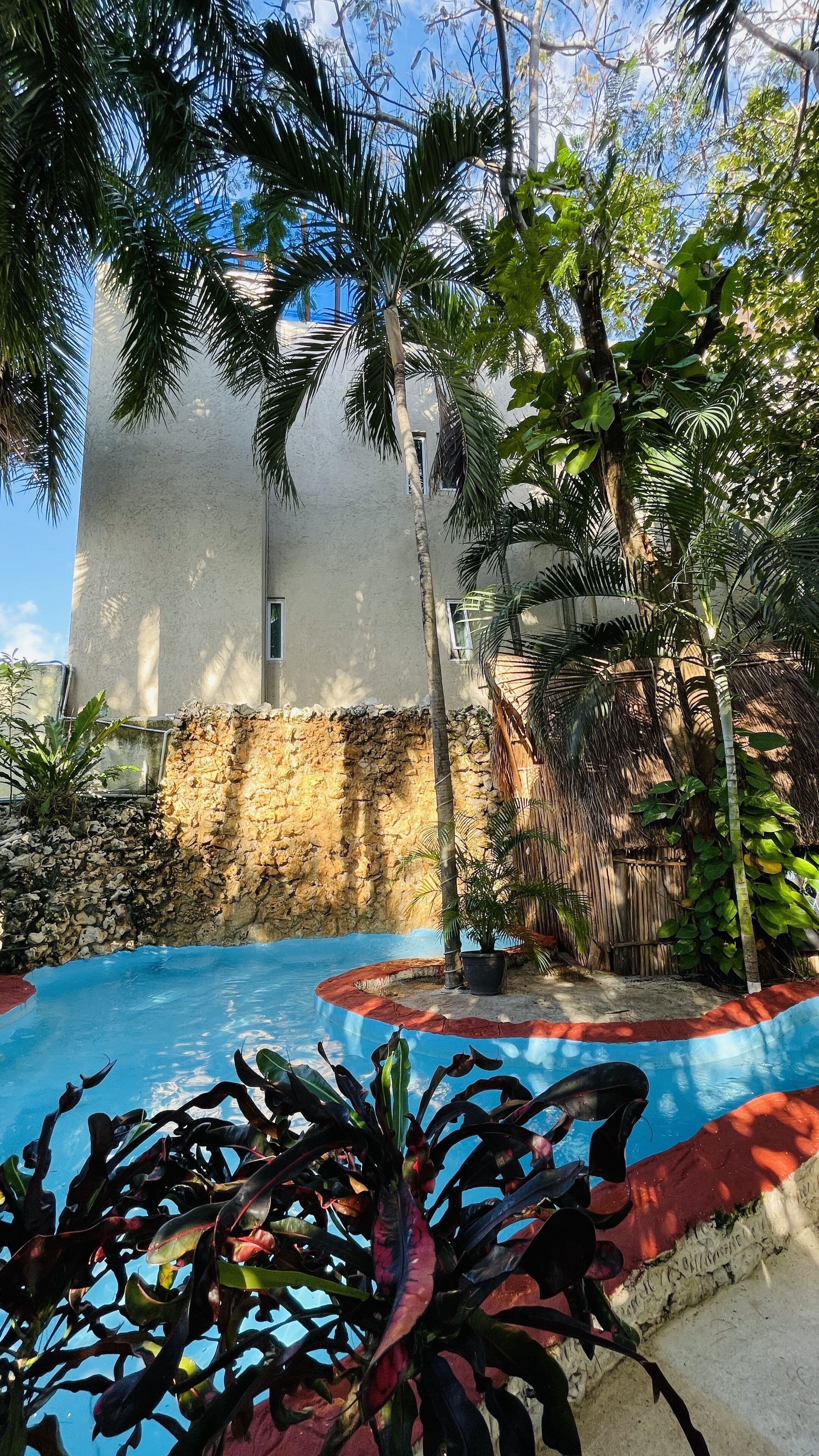 A pool area with a stone wall, palm trees, and tropical plants.