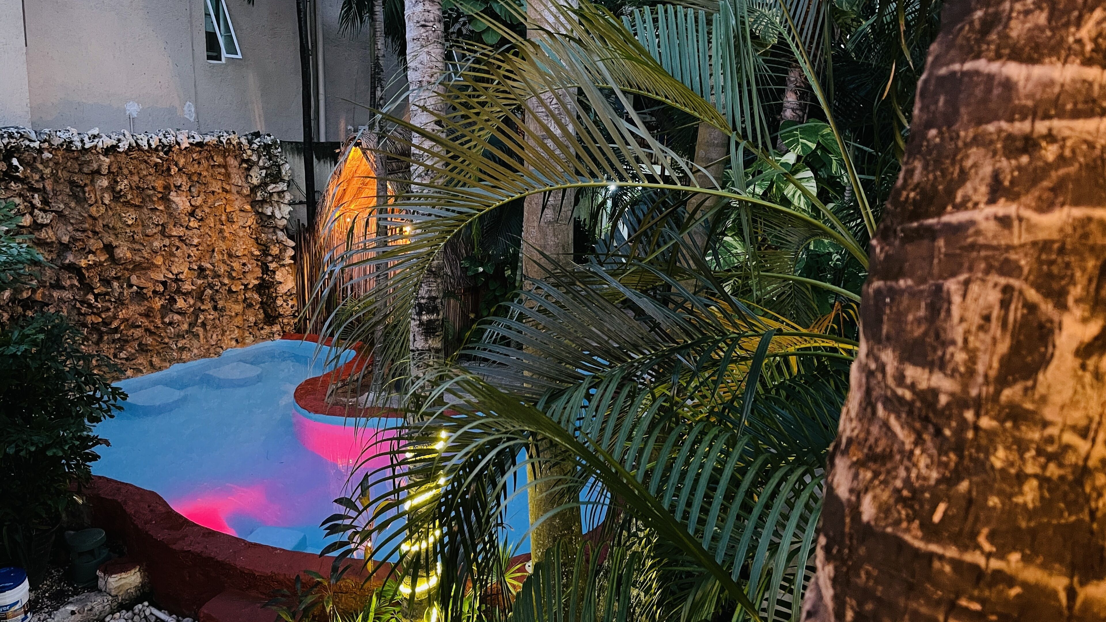 A pool area with a stone wall, palm trees, and a colorful water feature.