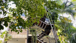Una escalera exterior de varios niveles rodeada de abundante vegetación y un edificio al fondo.