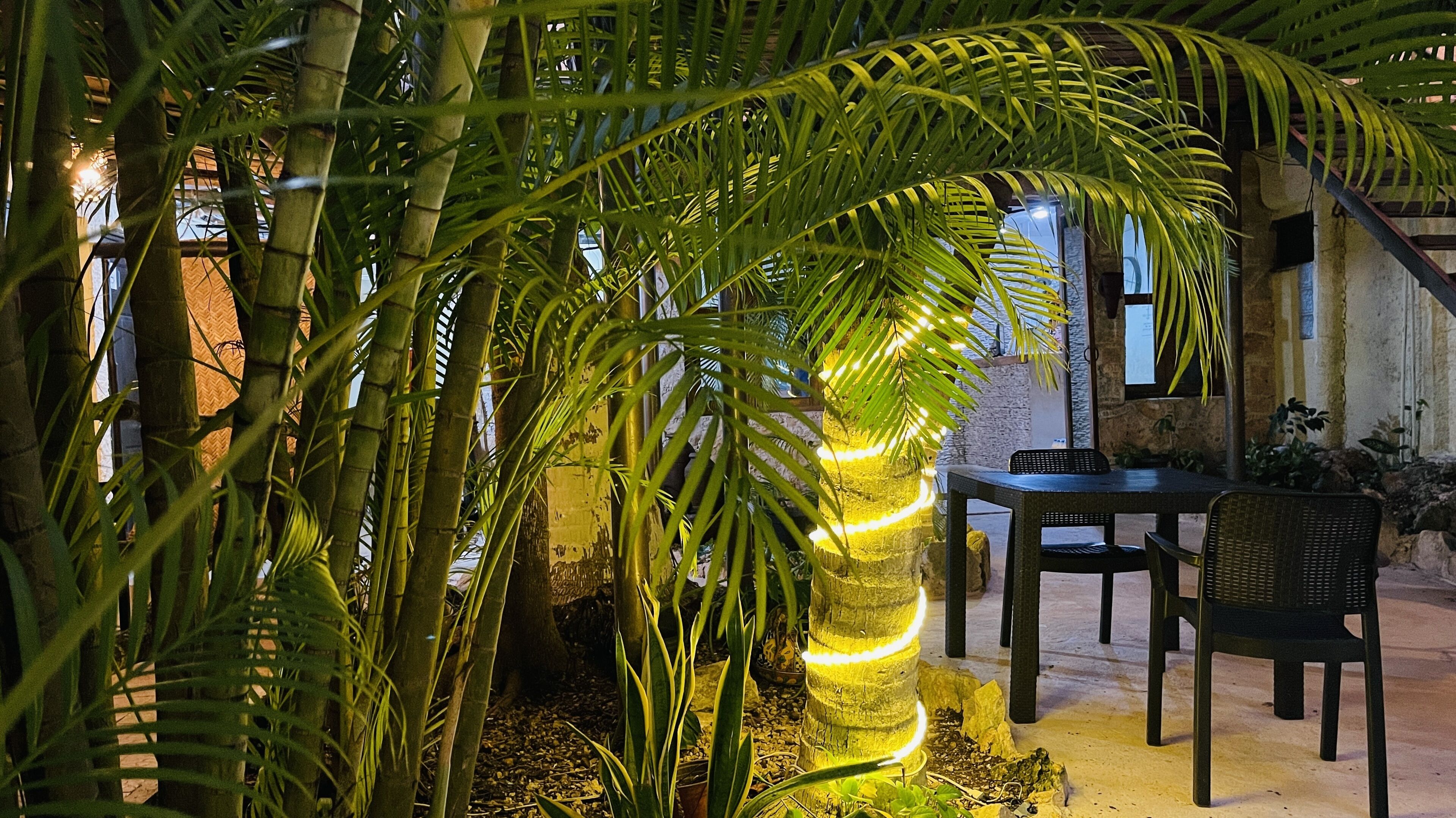 Photo - Hotel B&B - 5th Avenue