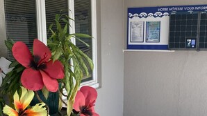 Ein Zimmer mit einem großen schwarzen Kübelpflanzgefäß mit künstlichen Blumen, einem Fenster mit Jalousien und einem Korkbrett mit Informationen.