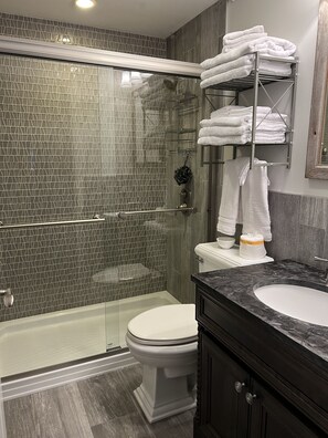 Combined shower/bathtub, hair dryer, towels, soap - Mount Snow Vermont - Ski - Snowboard - 6 miles (Wilmington)