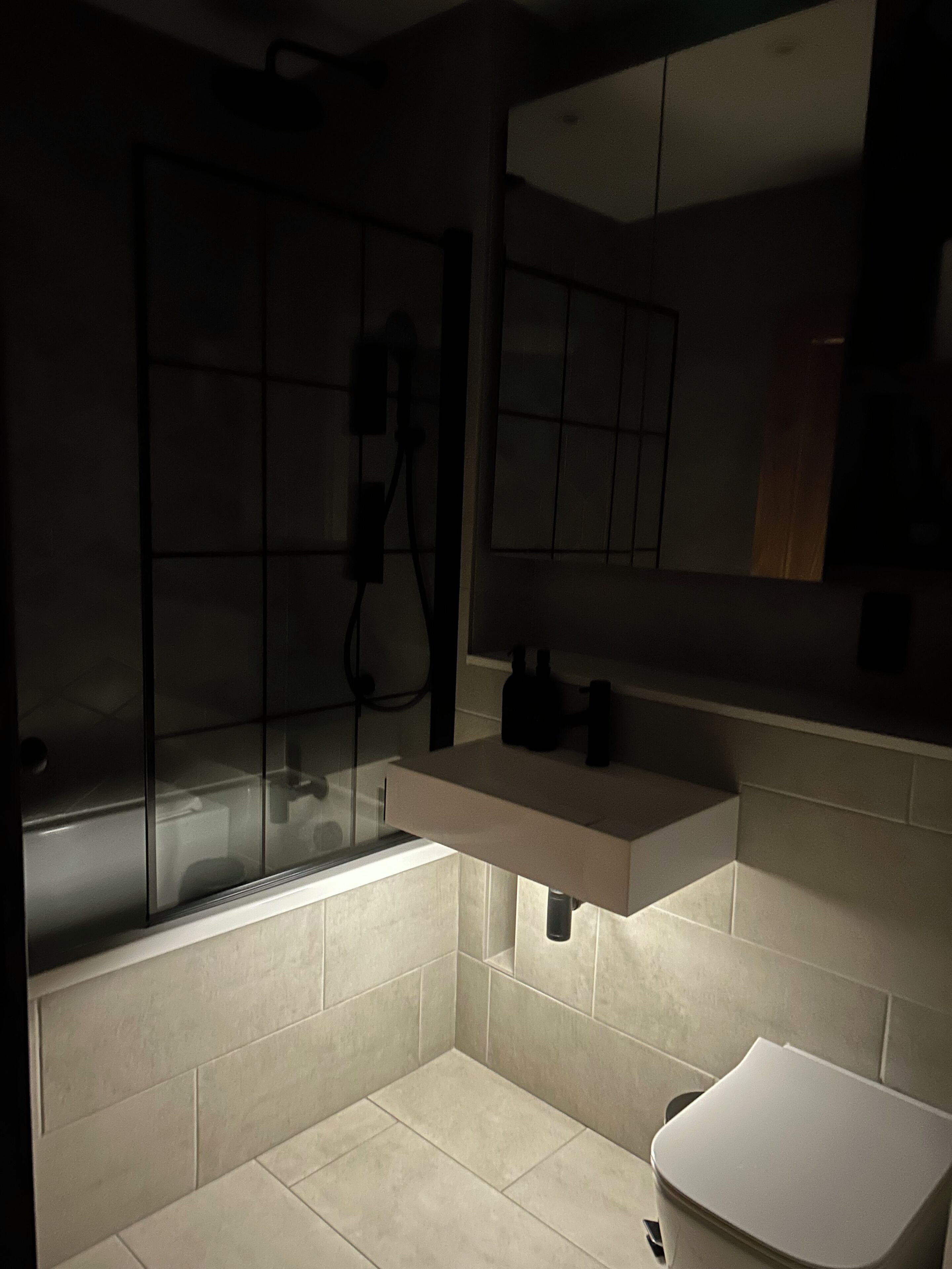 A modern bathroom with a glass shower enclosure, a white sink, and a toilet.