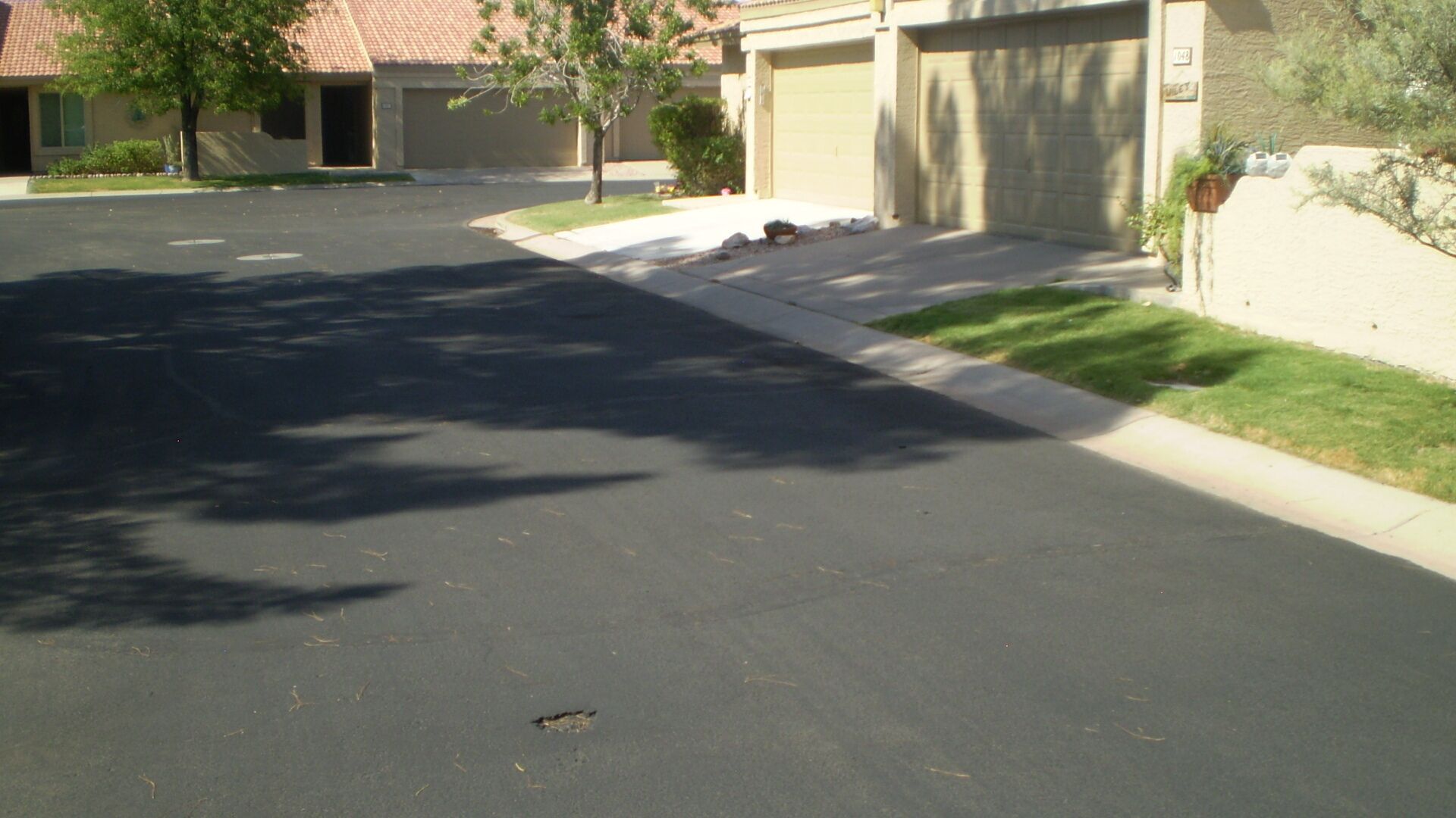 A residential street with houses, a clear driveway, and a well-maintained lawn.