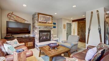 Télévision, cheminée, médiathÚque, vidéothÚque