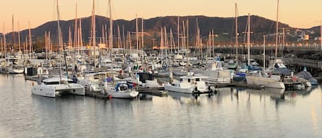 Puerto deportivo