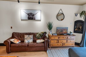 Smart TV, chimenea y libros 