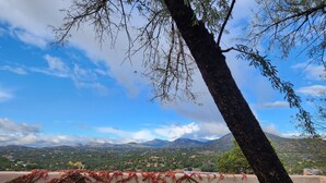 Panoramica di un paesaggio montuoso con un muro di cemento ricoperto d'edera rossa, un albero in primo piano e un cielo azzurro limpido.