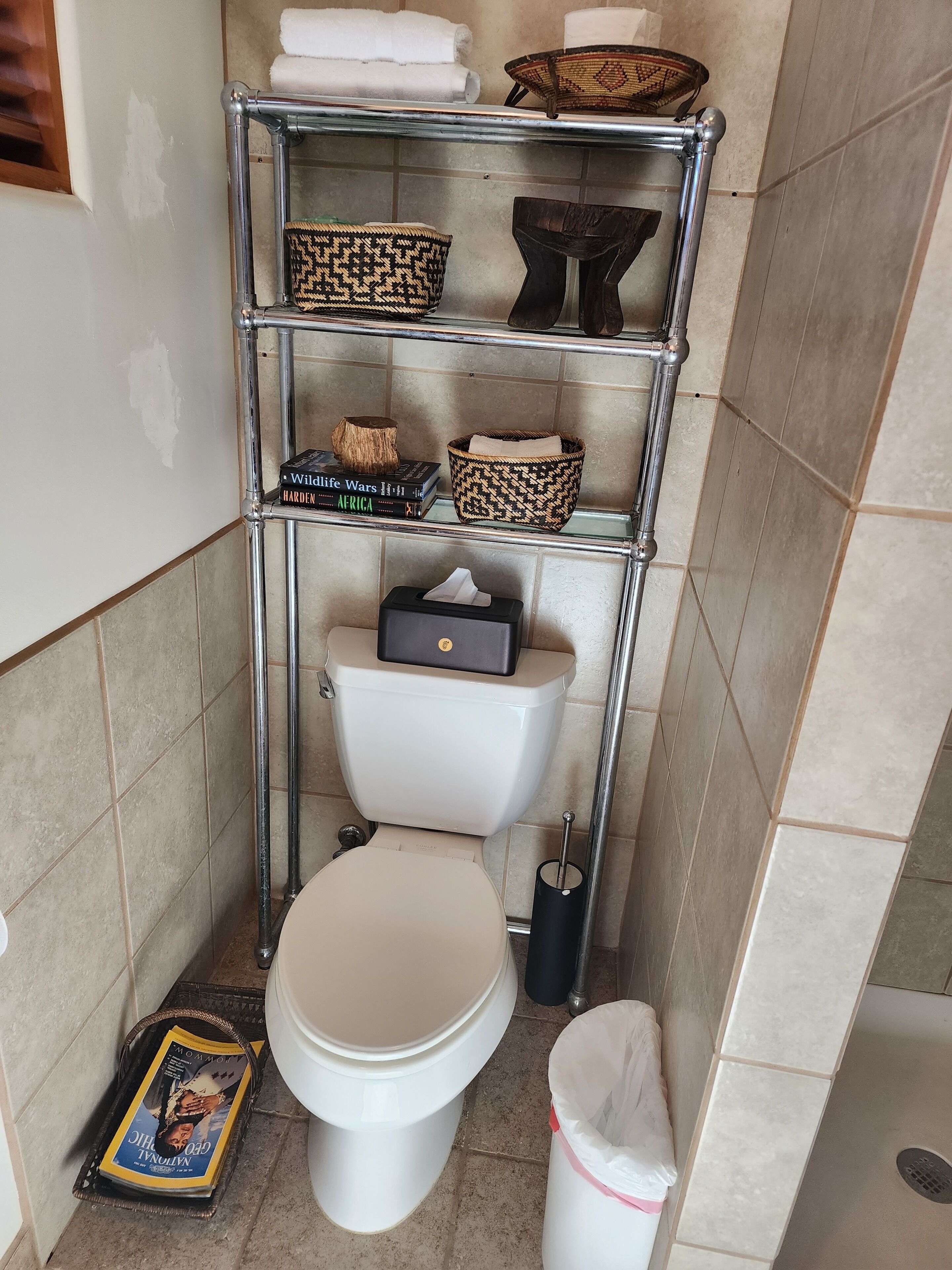 Un baño con un inodoro, una estantería con cestas y libros, una caja de pañuelos y una revista en el suelo.