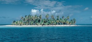 Un'isola tropicale con spiaggia e palme.