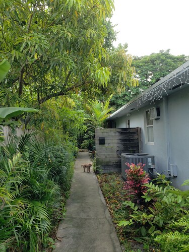 Wynwood Miami Tropical Hideaway Guest Suite