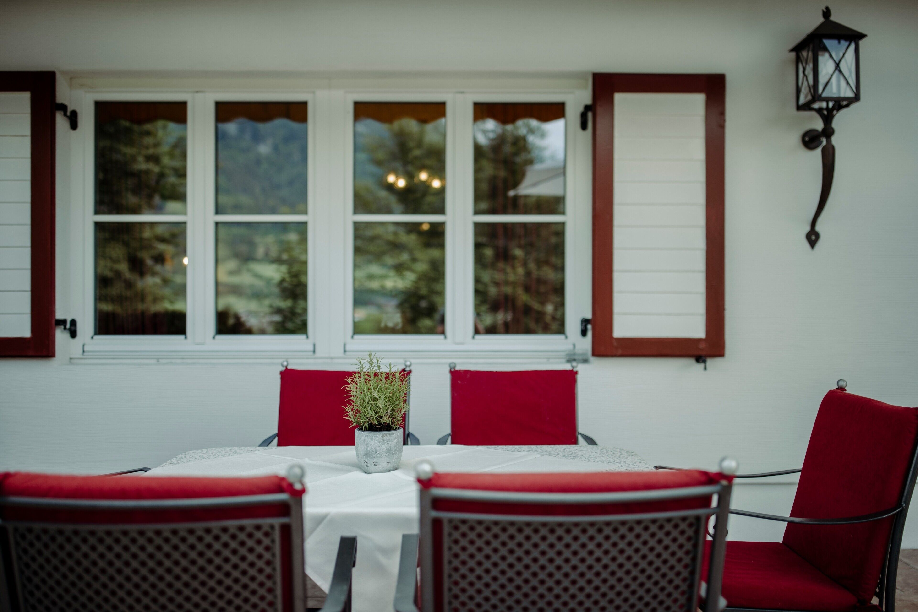 Un comedor con una mesa, sillas y una planta en maceta.