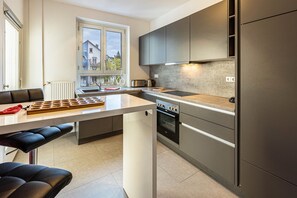 Fridge, oven, stovetop, dishwasher - Holiday Apartment 'Stachel B' with Private Balcony & Wi-Fi (Konstanz)