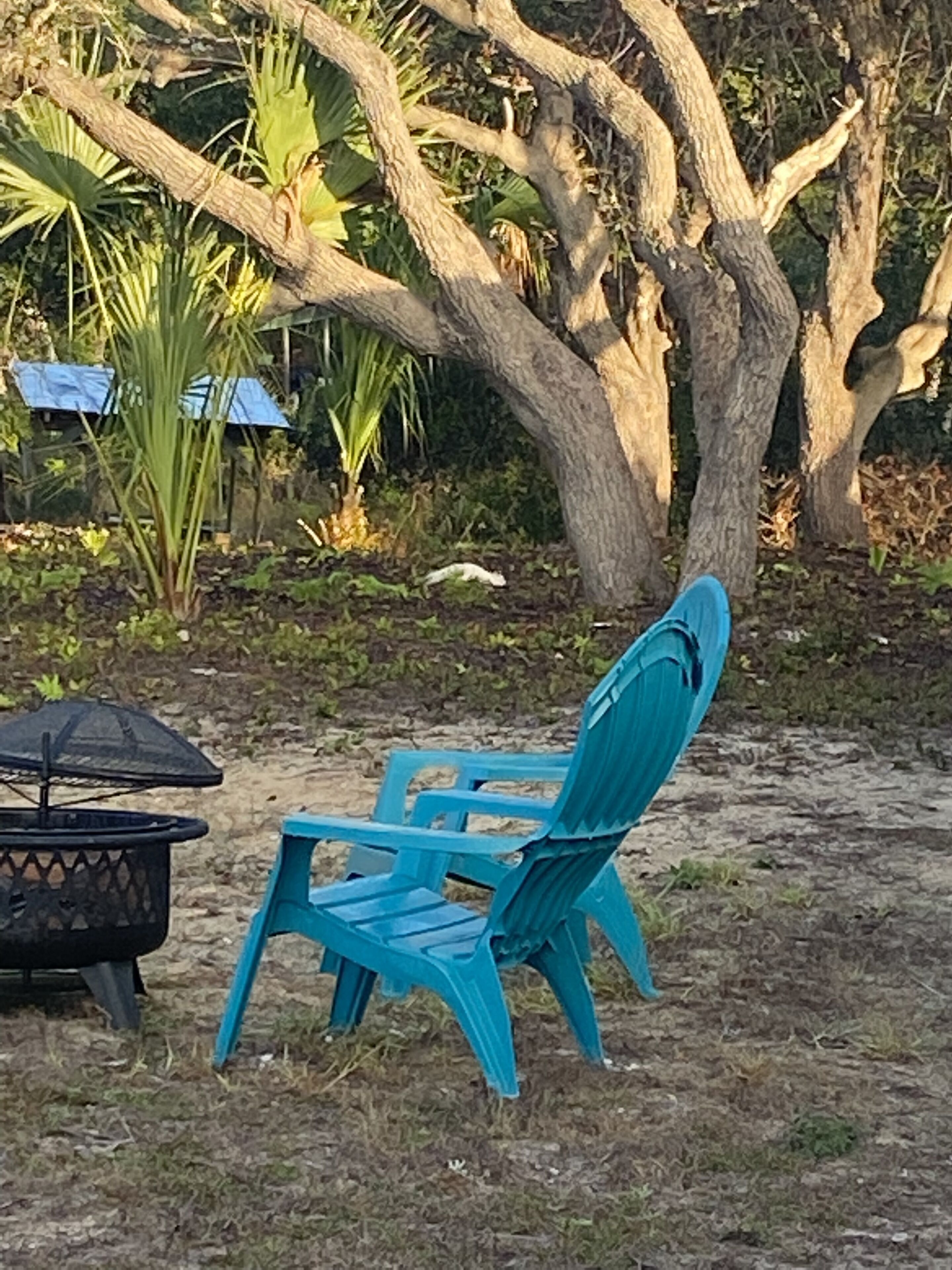 A blue outdoor chair and a black basket in a garden setting with trees and plants.