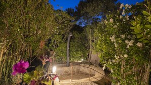A stone staircase surrounded by lush greenery and white flowers, leading to a covered area with a metal railing. - Cavalaire sur mer Mas Boubanette (CAVALAIRE SUR MER)