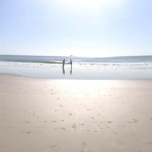 Sun-loungers, beach towels - NO LONGER AVAILABLE- waiting for website to archive listing unfortunately (Tarragindi)