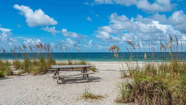 Une plage avec une table de pique-nique en bois et de hautes herbes.