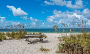 Een strand met een houten picknicktafel en hoge grassen.
