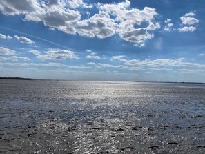 Playa en los alrededores 