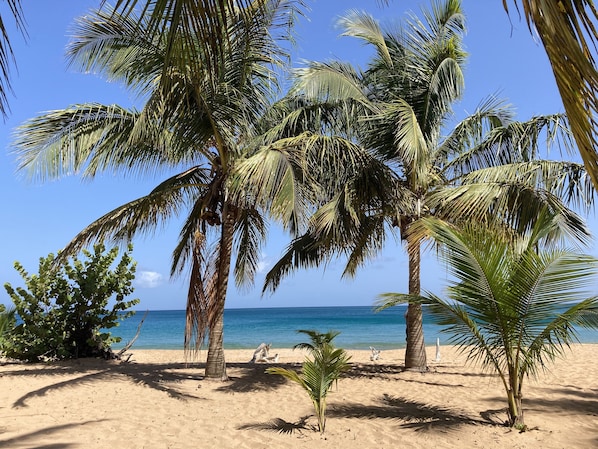 Plage à proximité