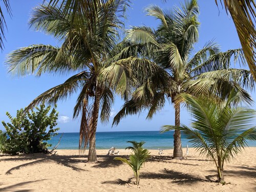 Coco-mango Apt A . Vue sur mer à 250 m de la Plage de la Perle