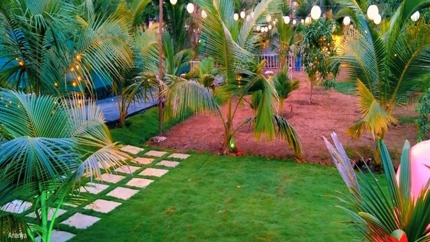 A lush garden with palm trees and a paved walkway. - Starlight Resort (Alibag)