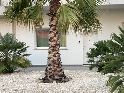 House with pleasant panorama